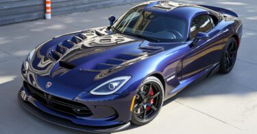 découvrez l'arbre de judée et sa magnifique floraison printanière qui illumine jardins et paysages de ses fleurs roses éclatantes.