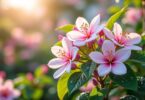découvrez l'abelia grandiflora, un arbuste au feuillage élégant offrant une floraison longue et parfumée, idéale pour embellir et parfumer votre jardin tout au long de la saison.
