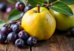découvrez notre liste alphabétique des fruits qui commencent par la lettre q, pour enrichir votre vocabulaire et vos connaissances culinaires.