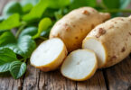 découvrez la poire de terre (yacon), un tubercule original et croquant aux saveurs uniques, idéal pour agrémenter vos recettes et profiter de ses bienfaits naturels.